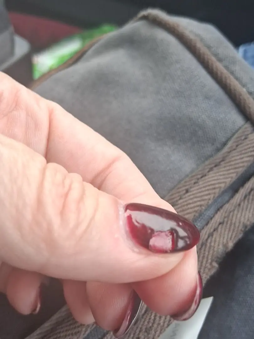 QNails photo (photo 1 of 3)