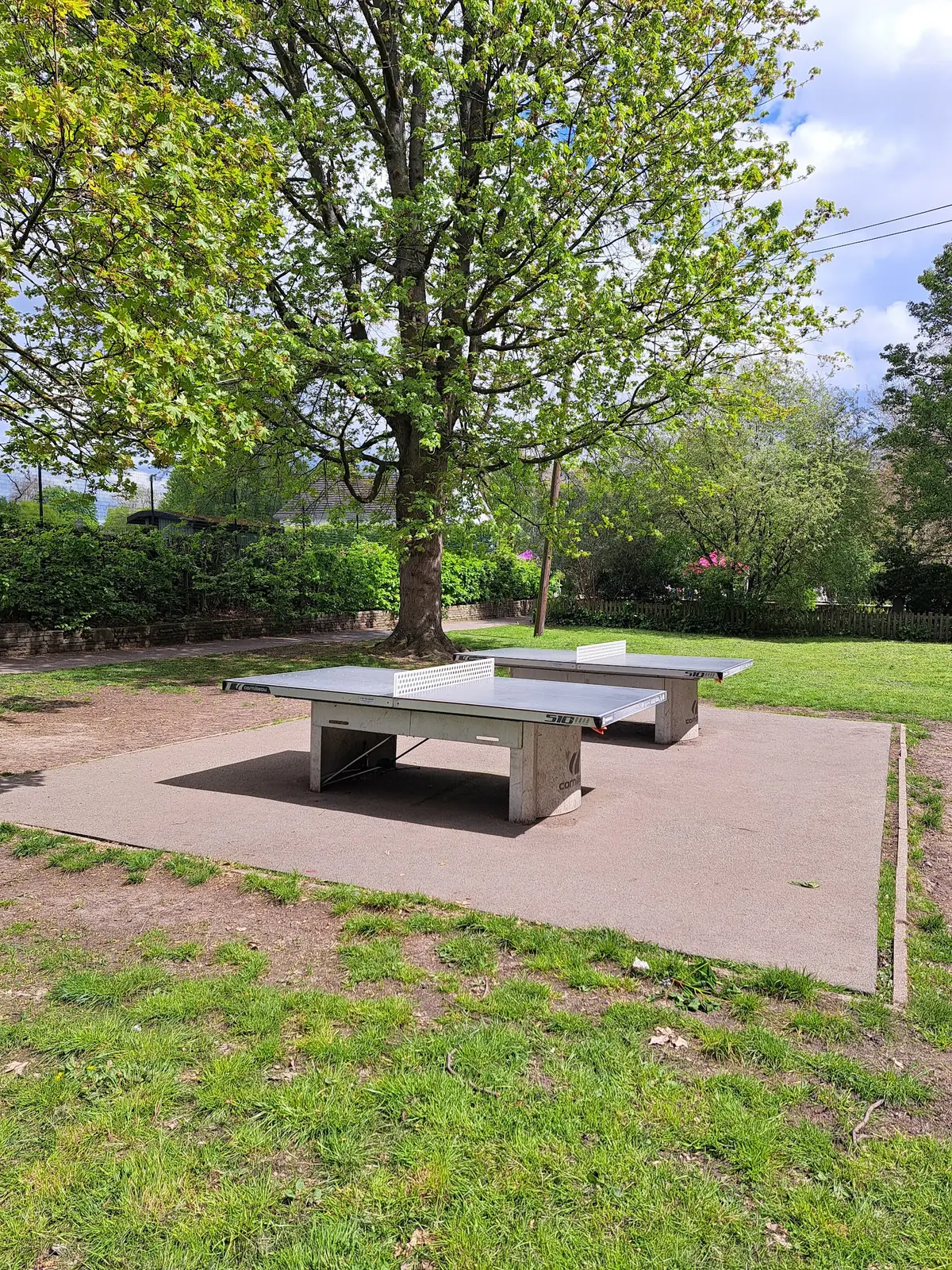 The Park Cafe photo (photo 3 of 3)