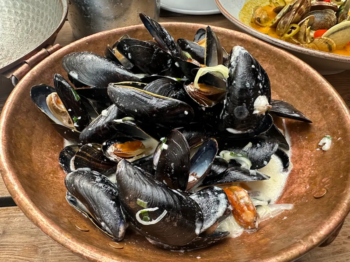 The Urchin Brewery & Shellfish Pub photo (photo 3 of 3)