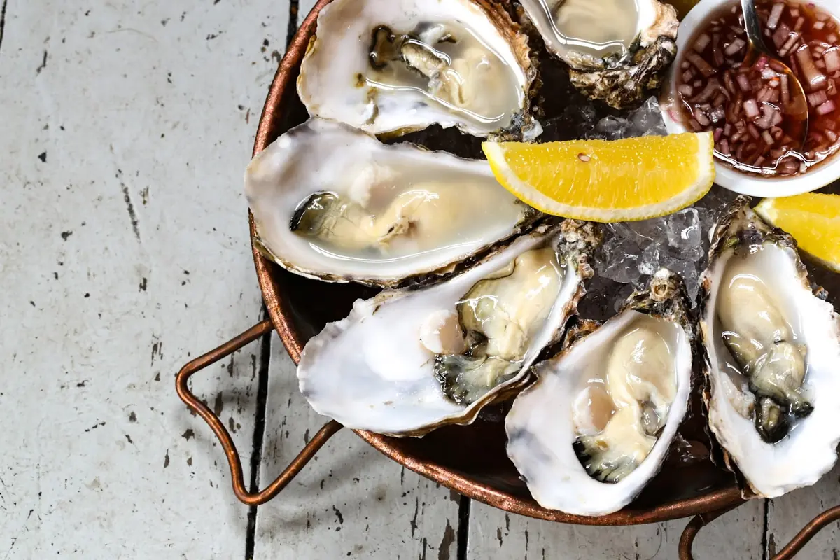 The Urchin Brewery & Shellfish Pub photo (photo 2 of 3)