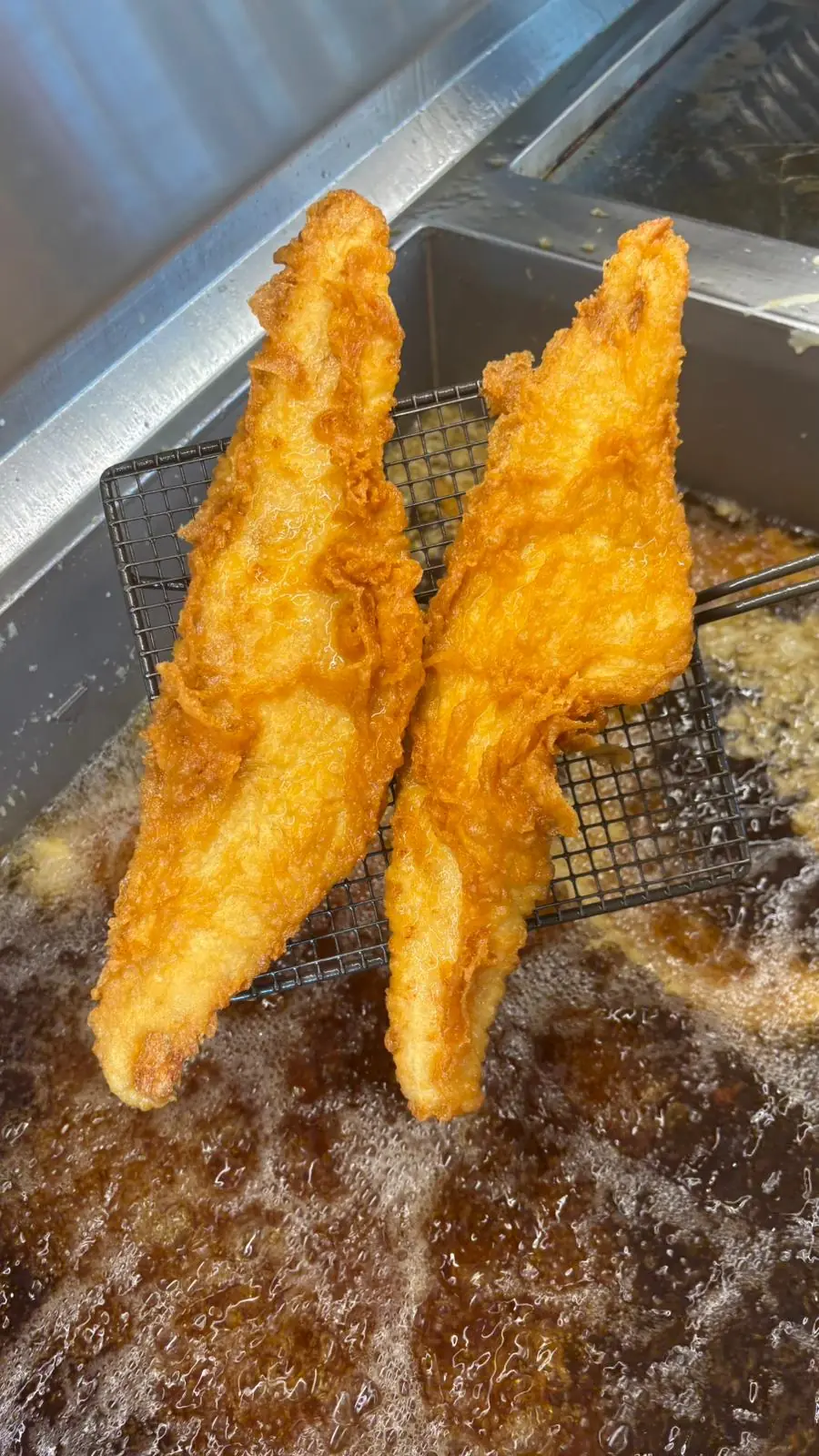 Reel Plaice photo (photo 2 of 3)