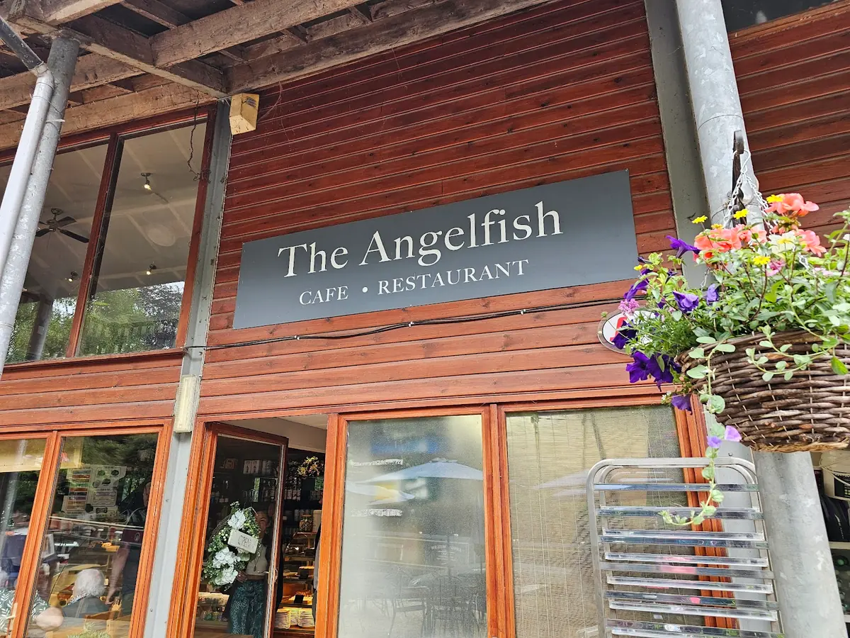 The Angelfish photo (photo 1 of 3)