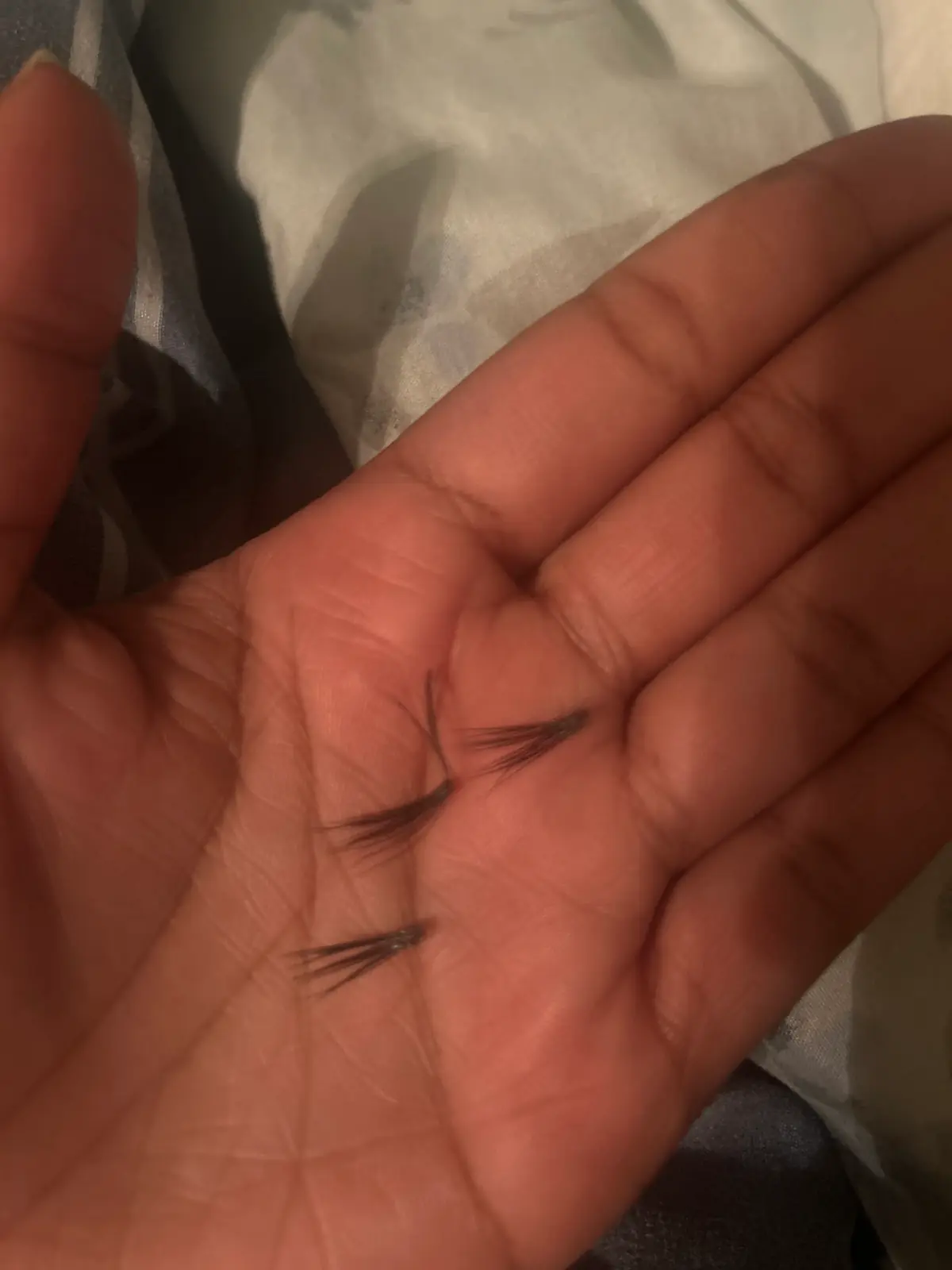 Precious Brows & Lashes photo (photo 2 of 3)