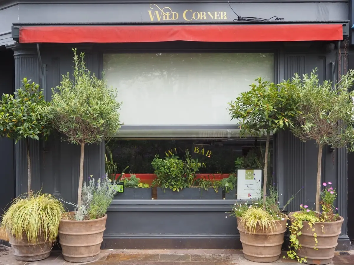 Wild Corner photo (photo 3 of 3)