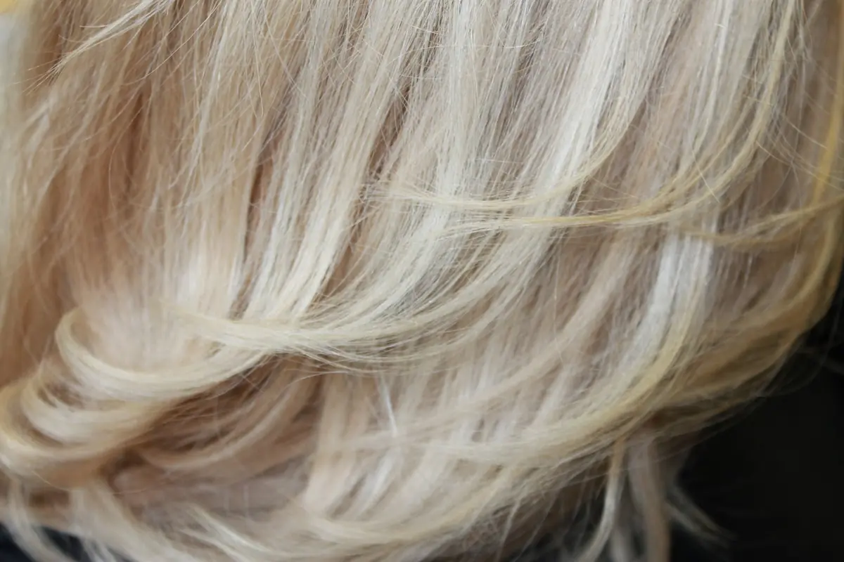 Zedler Der Friseur photo (photo 1 of 3)