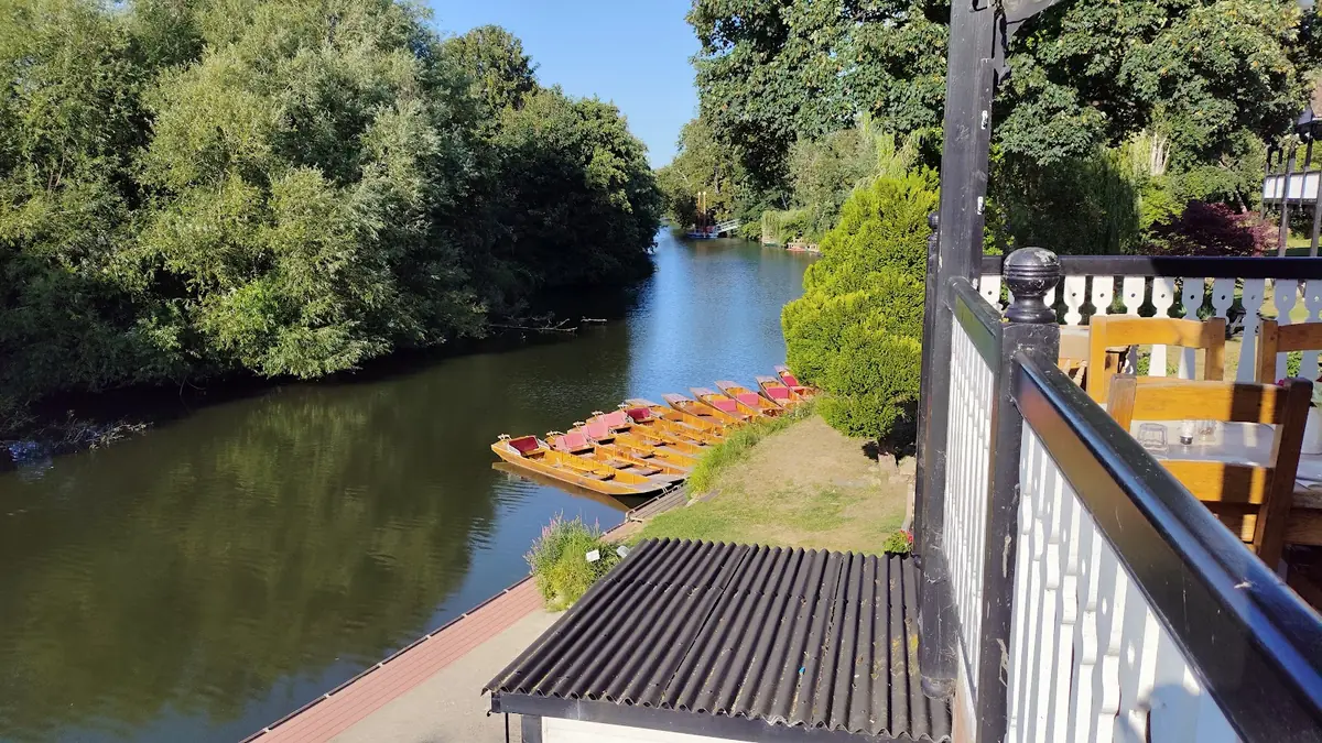 Bathwick Boatman 🇪🇺 photo (photo 3 of 3)