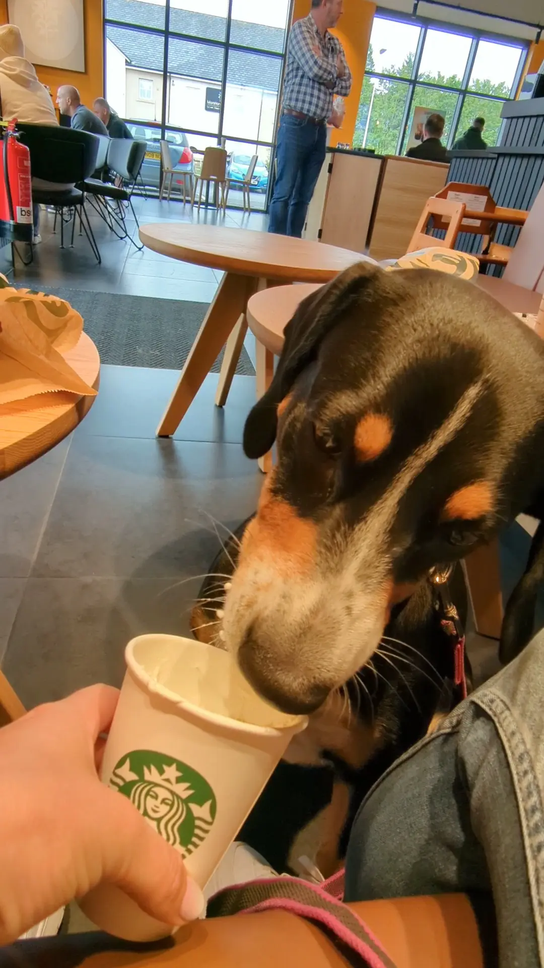 Starbucks Livingston Drive Thru photo (photo 2 of 3)