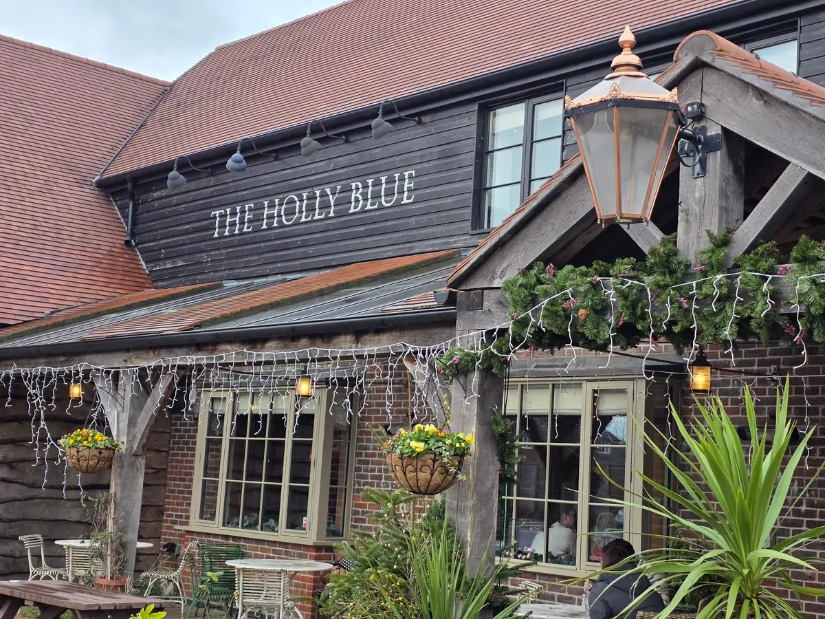 The Holly Blue
