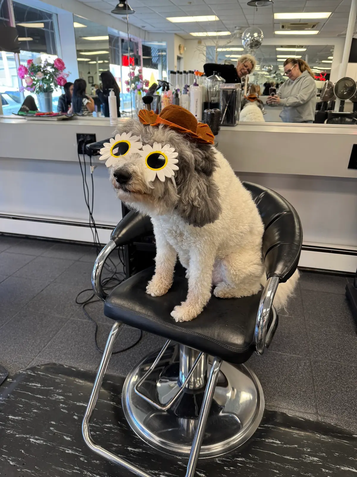 Vanessa Hair Salon photo (photo 3 of 3)