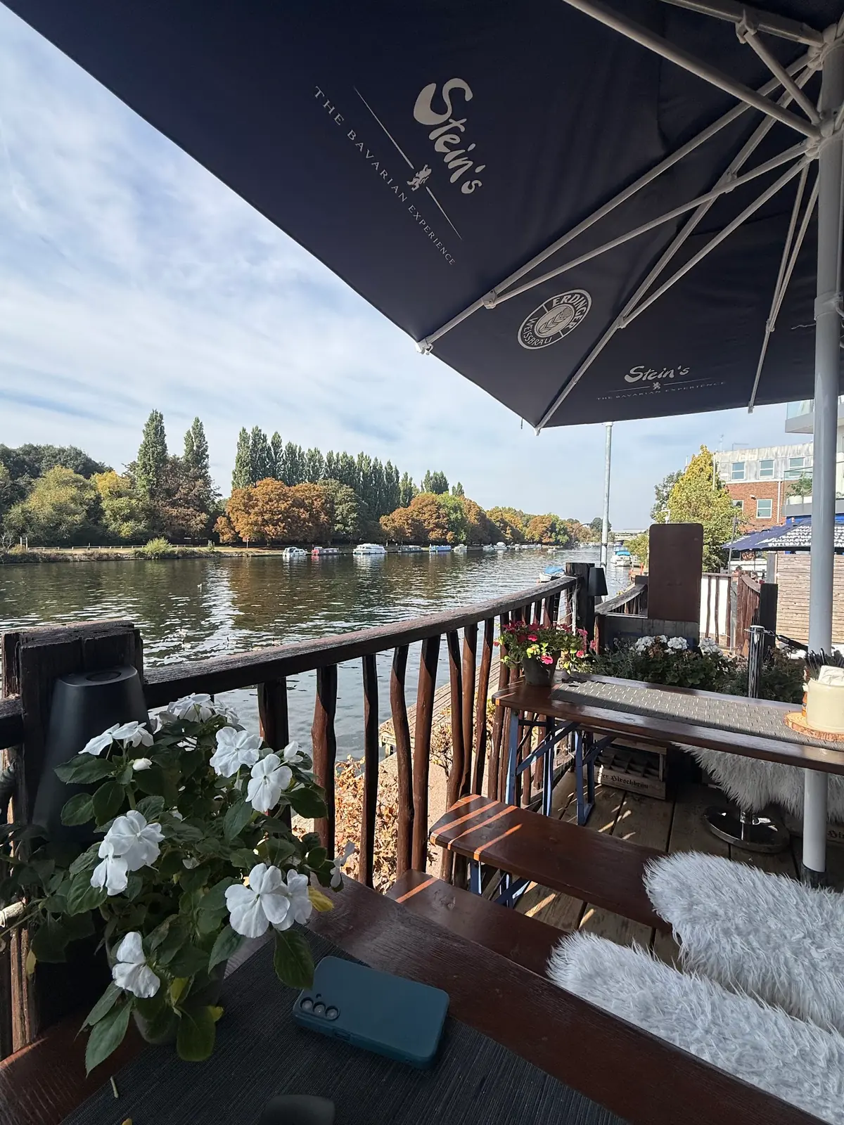 Stein's Kingston