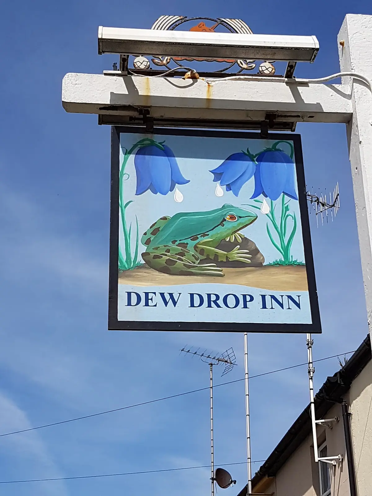 The Dew Drop photo (photo 2 of 2)