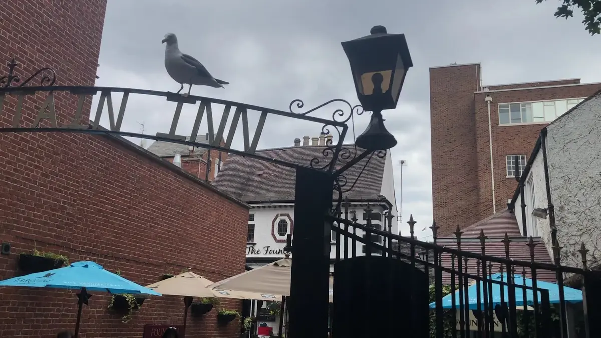 The Fountain Inn photo (photo 1 of 3)