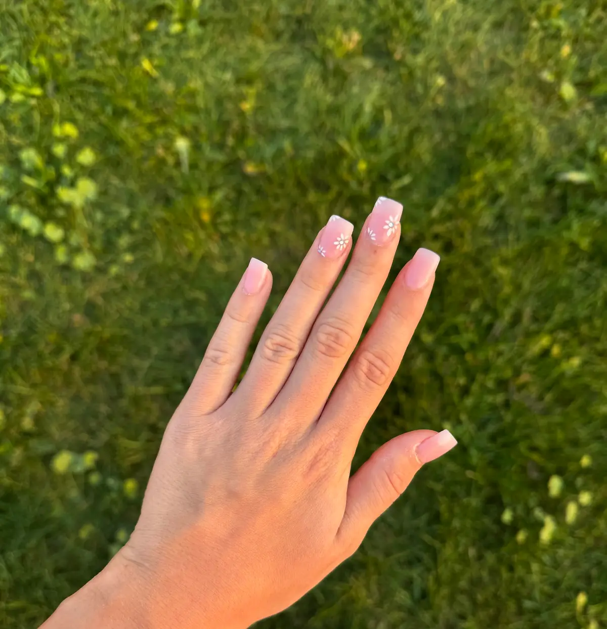 Hamilton Nail & Spa photo (photo 1 of 3)