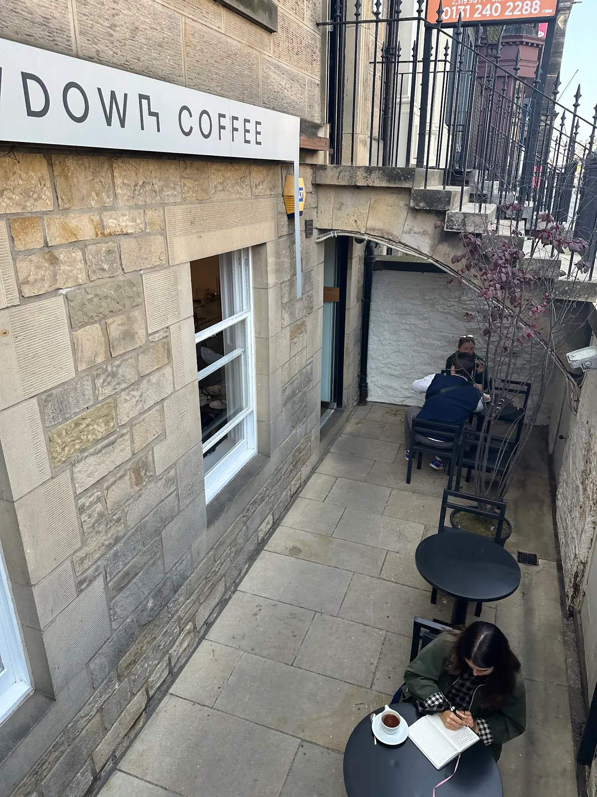 LOWDOWN
