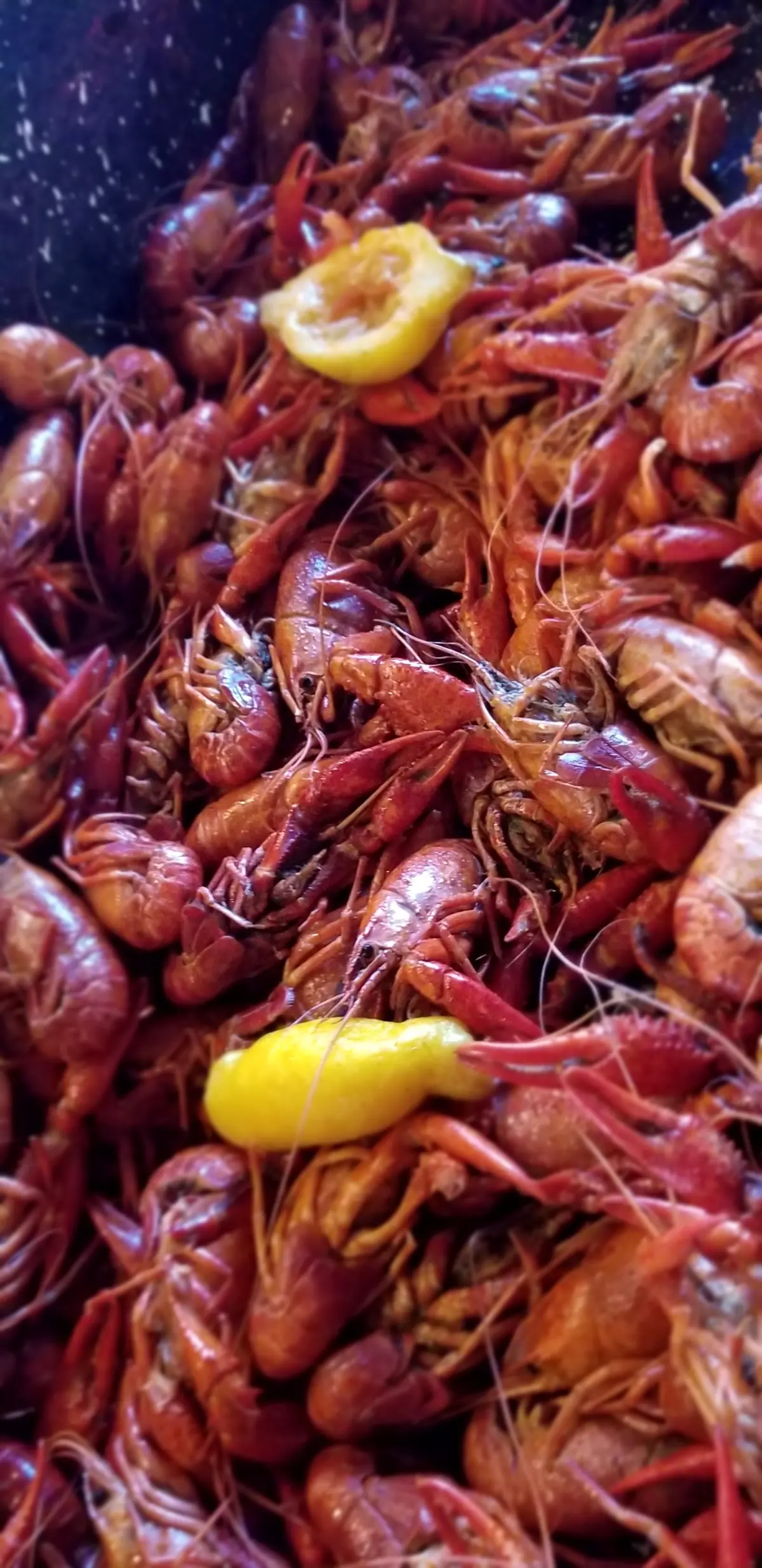 Lil' Touch Of Cajun Grill photo (photo 2 of 3)