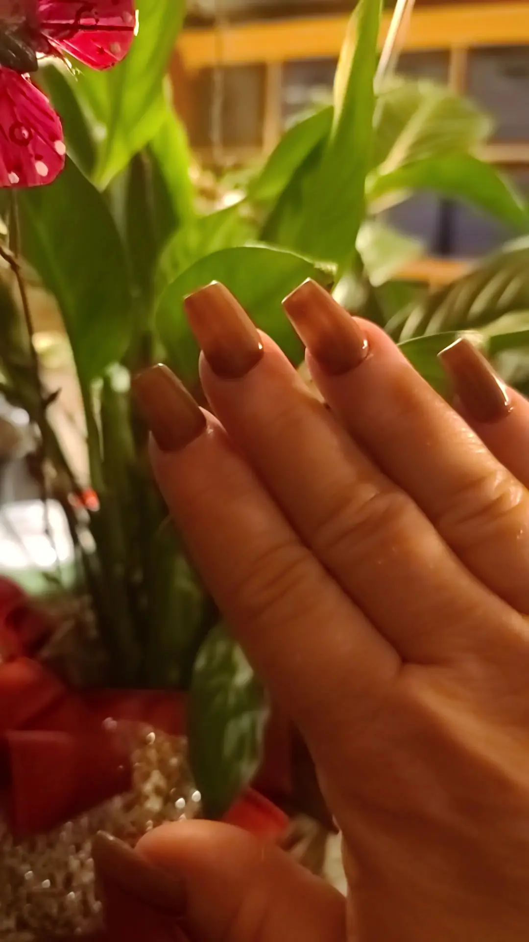PREMIUM NAIL SPA photo (photo 2 of 3)