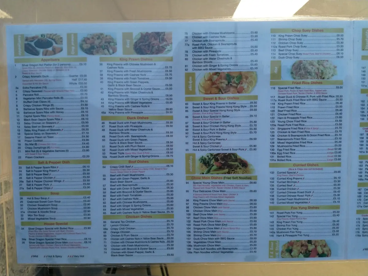 Silver Dragon — Chinese restaurants in Plymouth