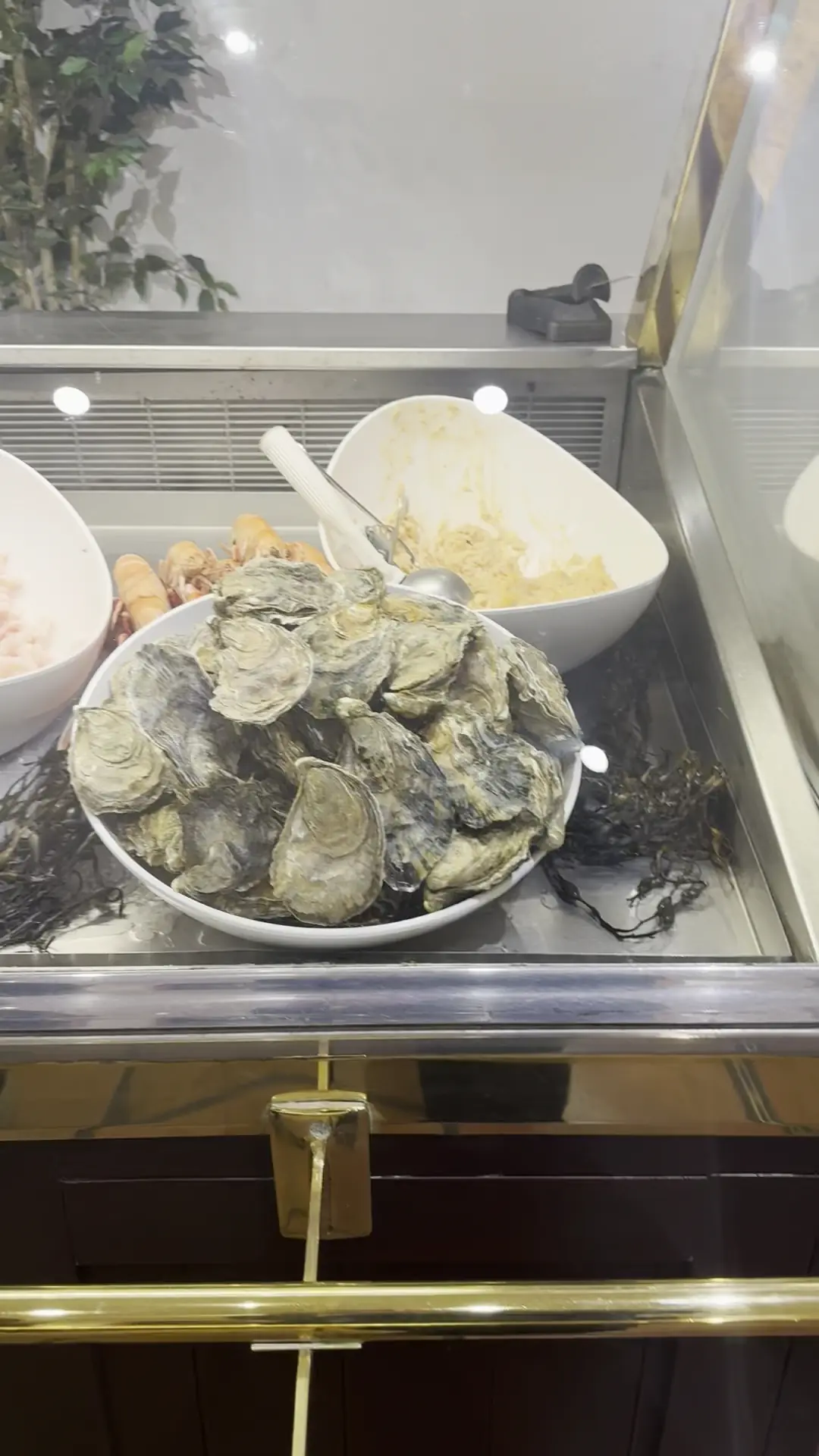 House of Bruar Fish and Chip Shop photo (photo 1 of 3)