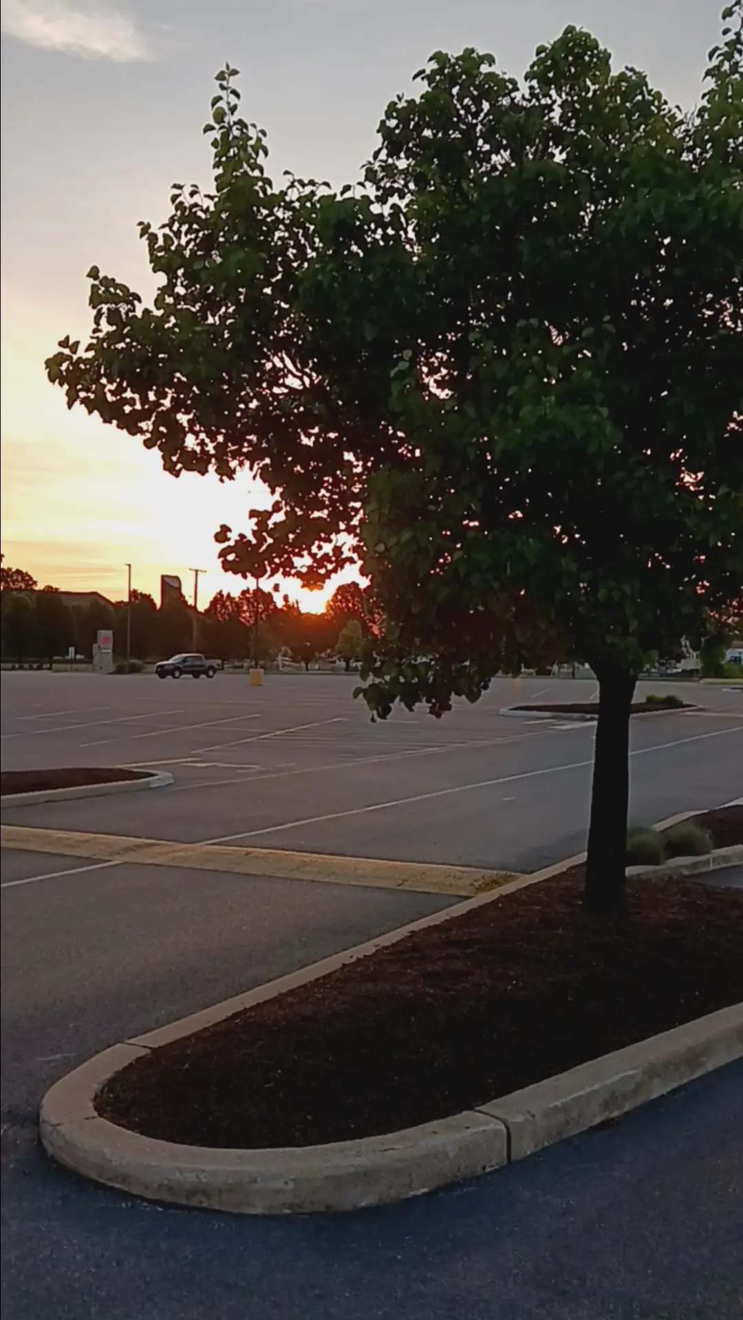 Lynch Manor Shopping Center photo (photo 4 of 7)