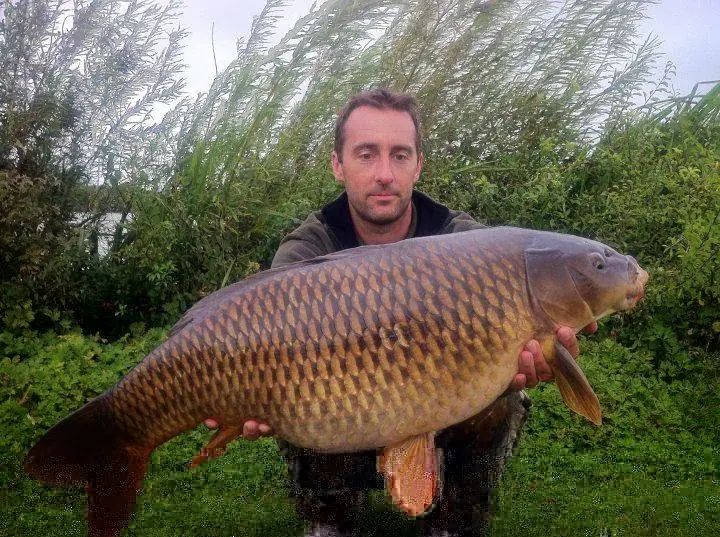 Four Seasons Fisheries photo (photo 2 of 3)