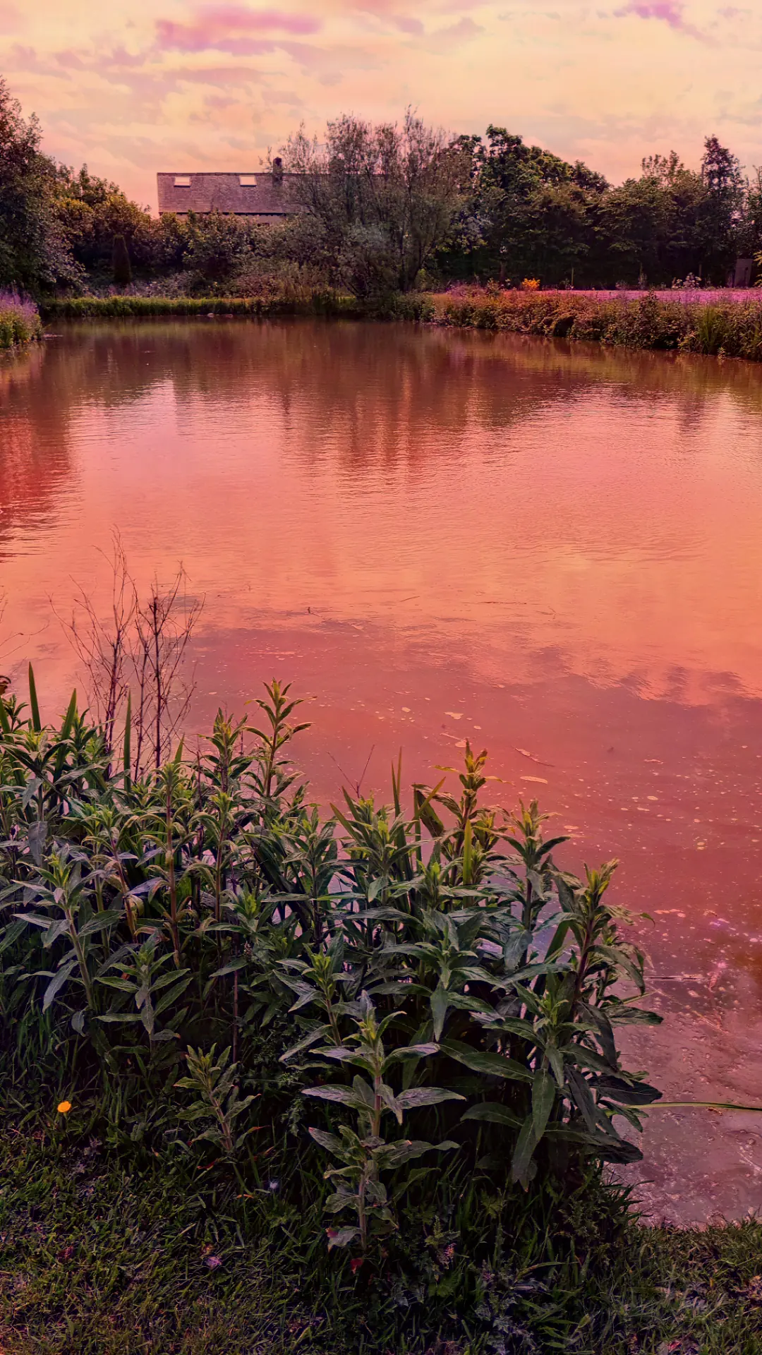 Four Seasons Fisheries photo (photo 1 of 3)