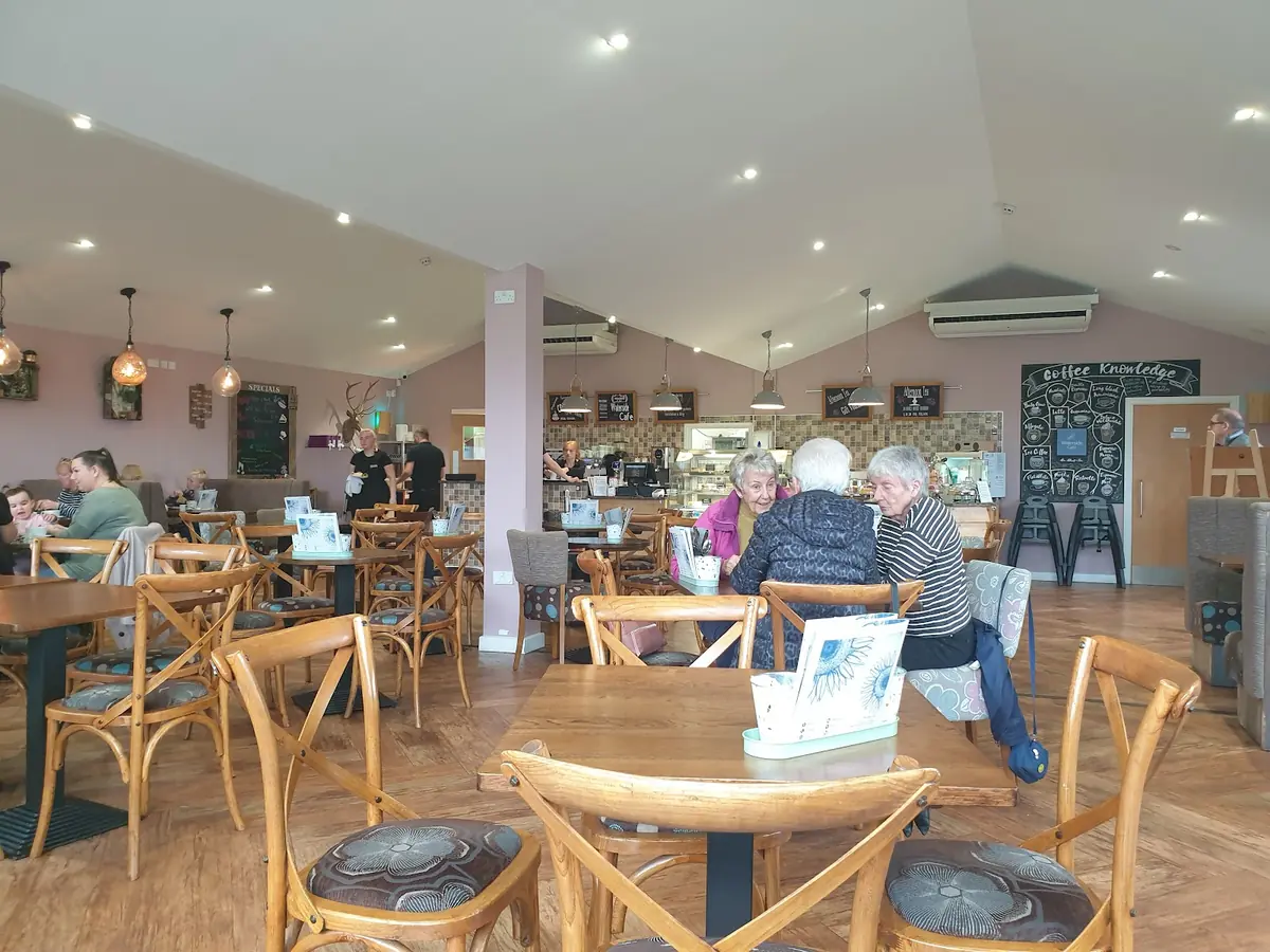 The Waterside Café photo (photo 3 of 3)