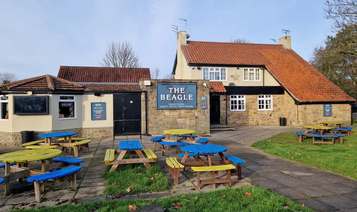 Beagle Acomb photo (photo 2 of 3)