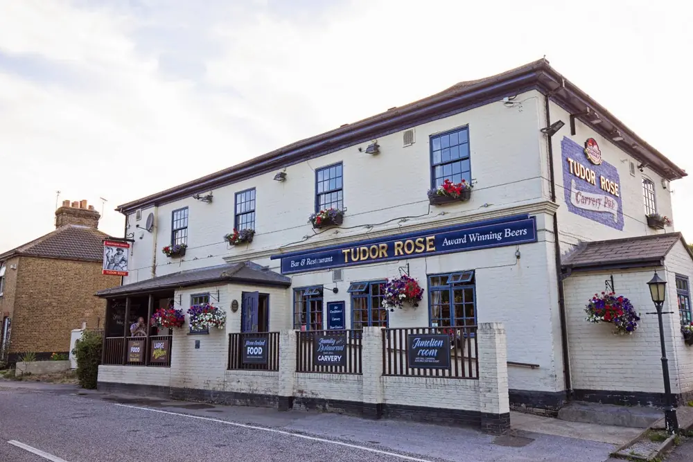 Tudor Rose photo (photo 1 of 3)