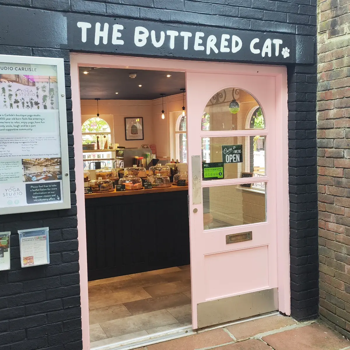 The Buttered Cat