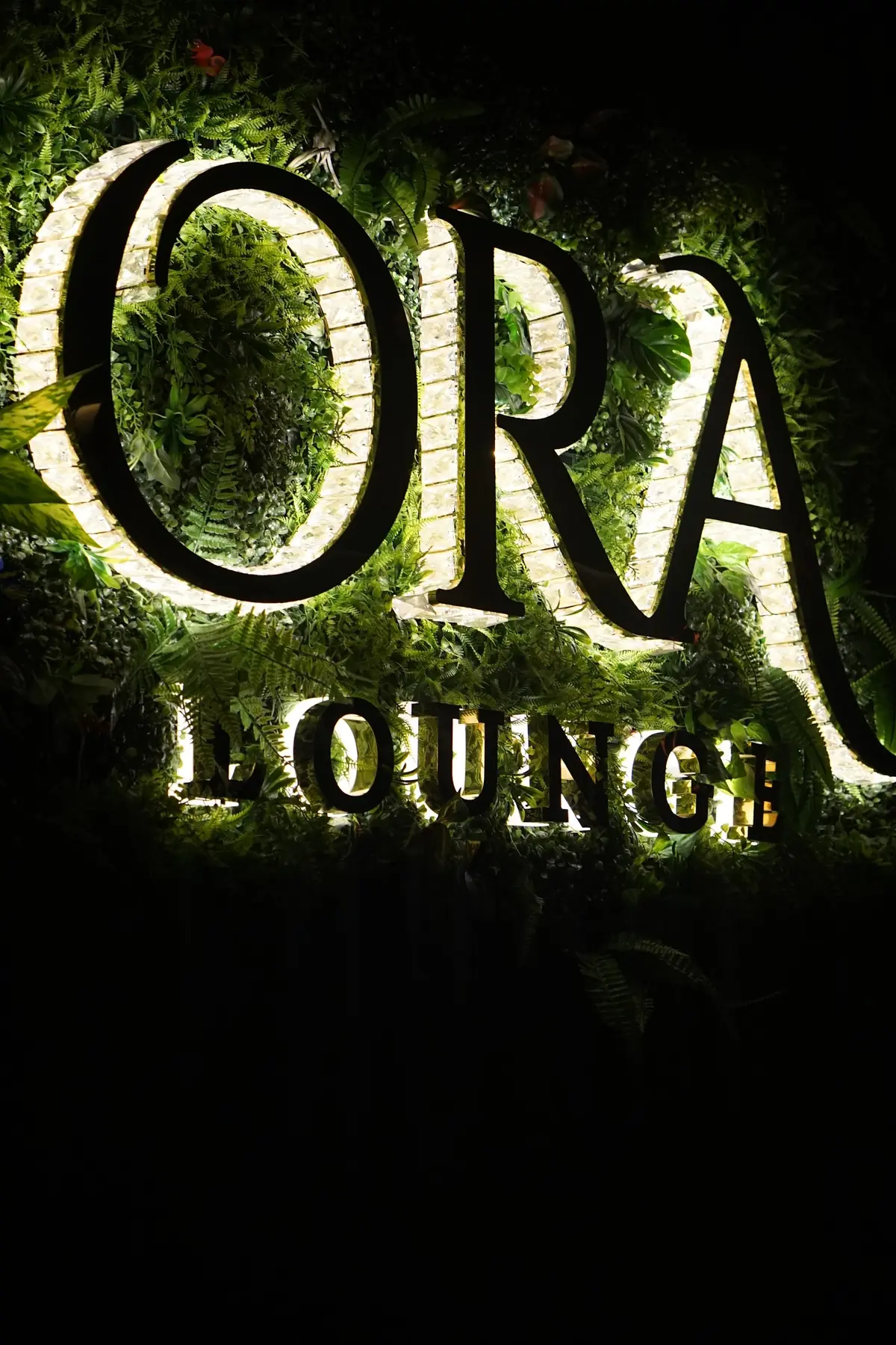 Ora Lounge photo (photo 1 of 3)