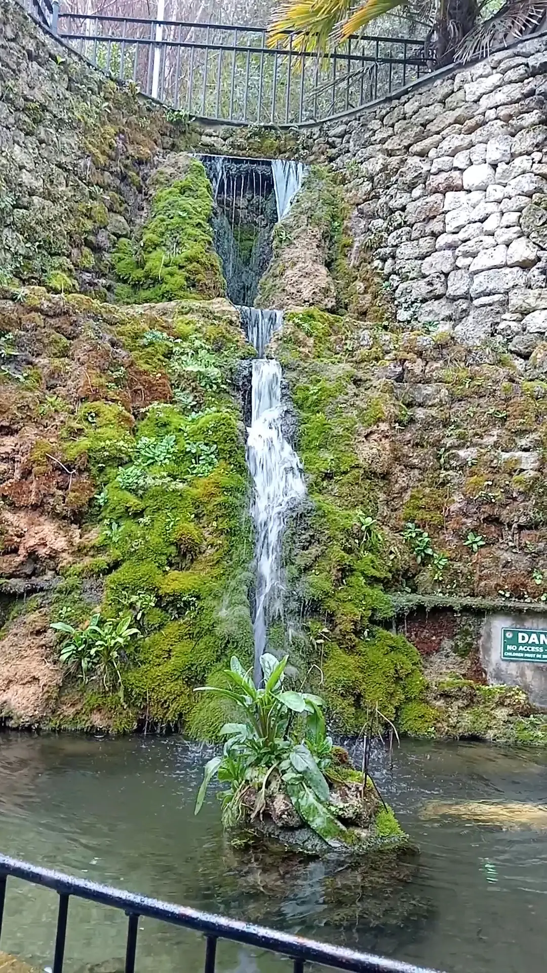 The Fishpond photo (photo 2 of 3)