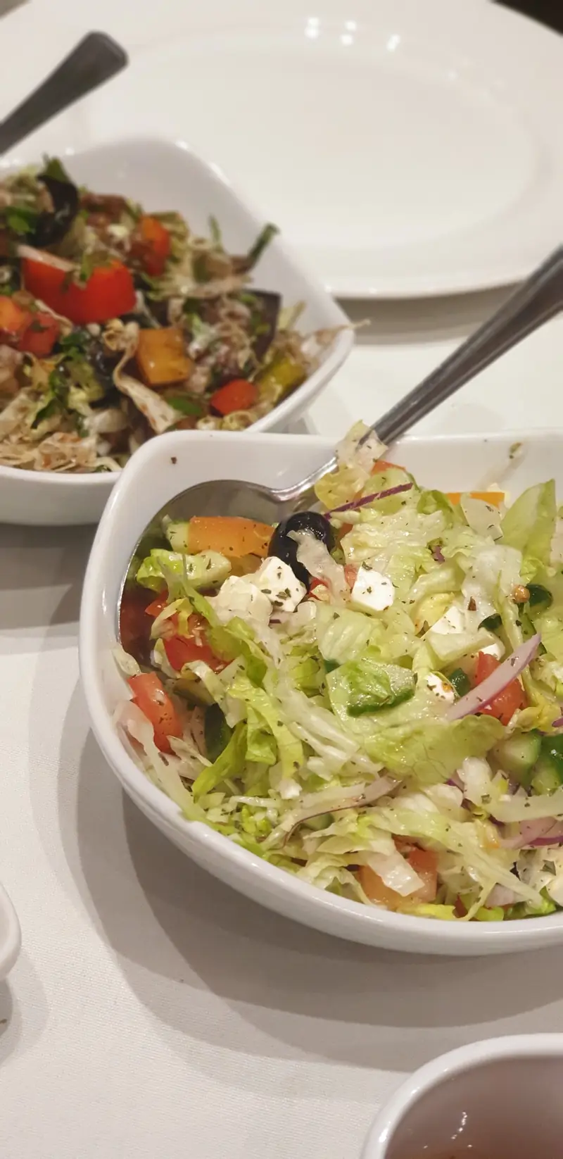 Shaam Lebanese Restaurant photo (photo 2 of 3)