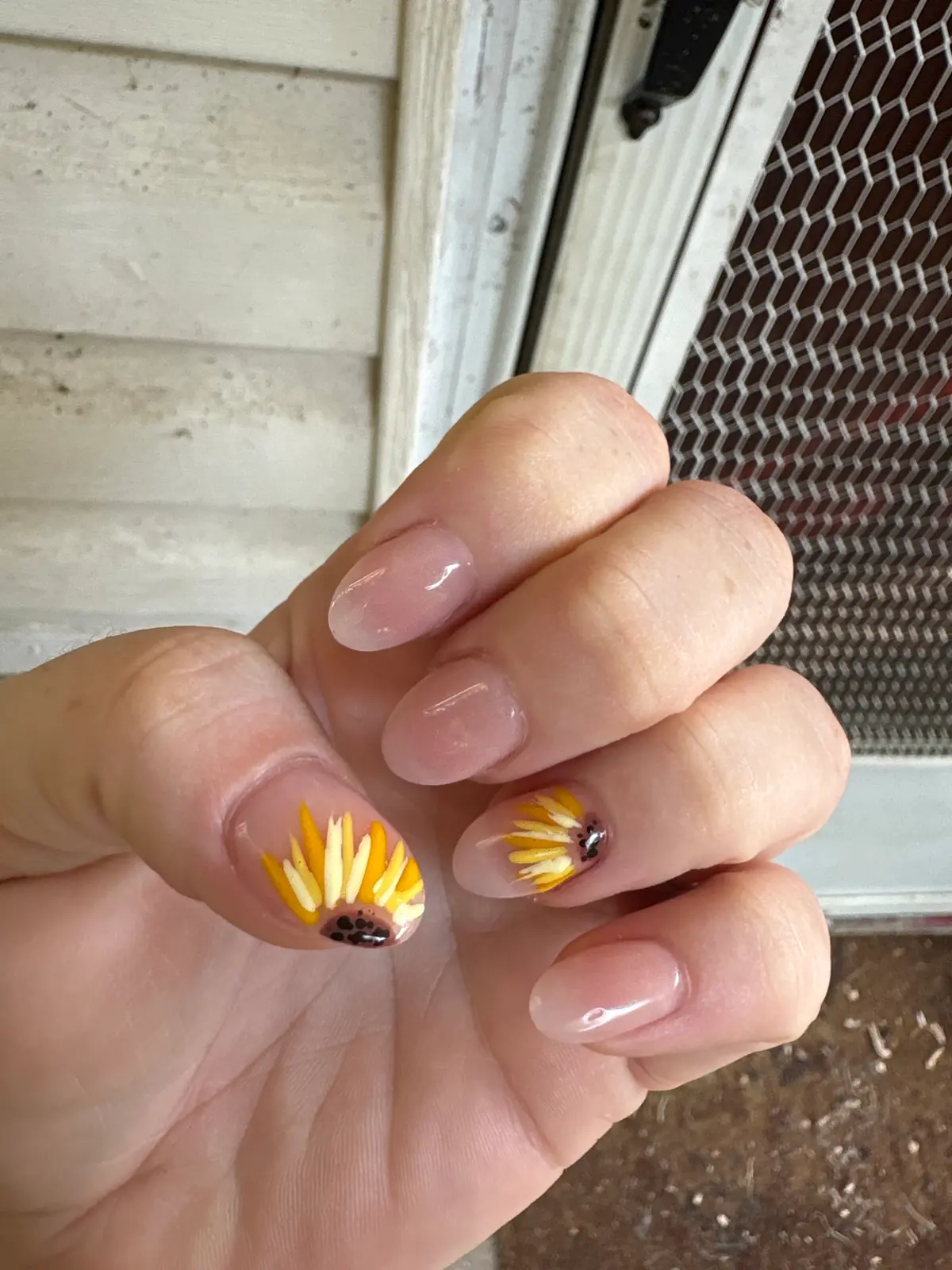 Lisa's Nails photo (photo 3 of 3)