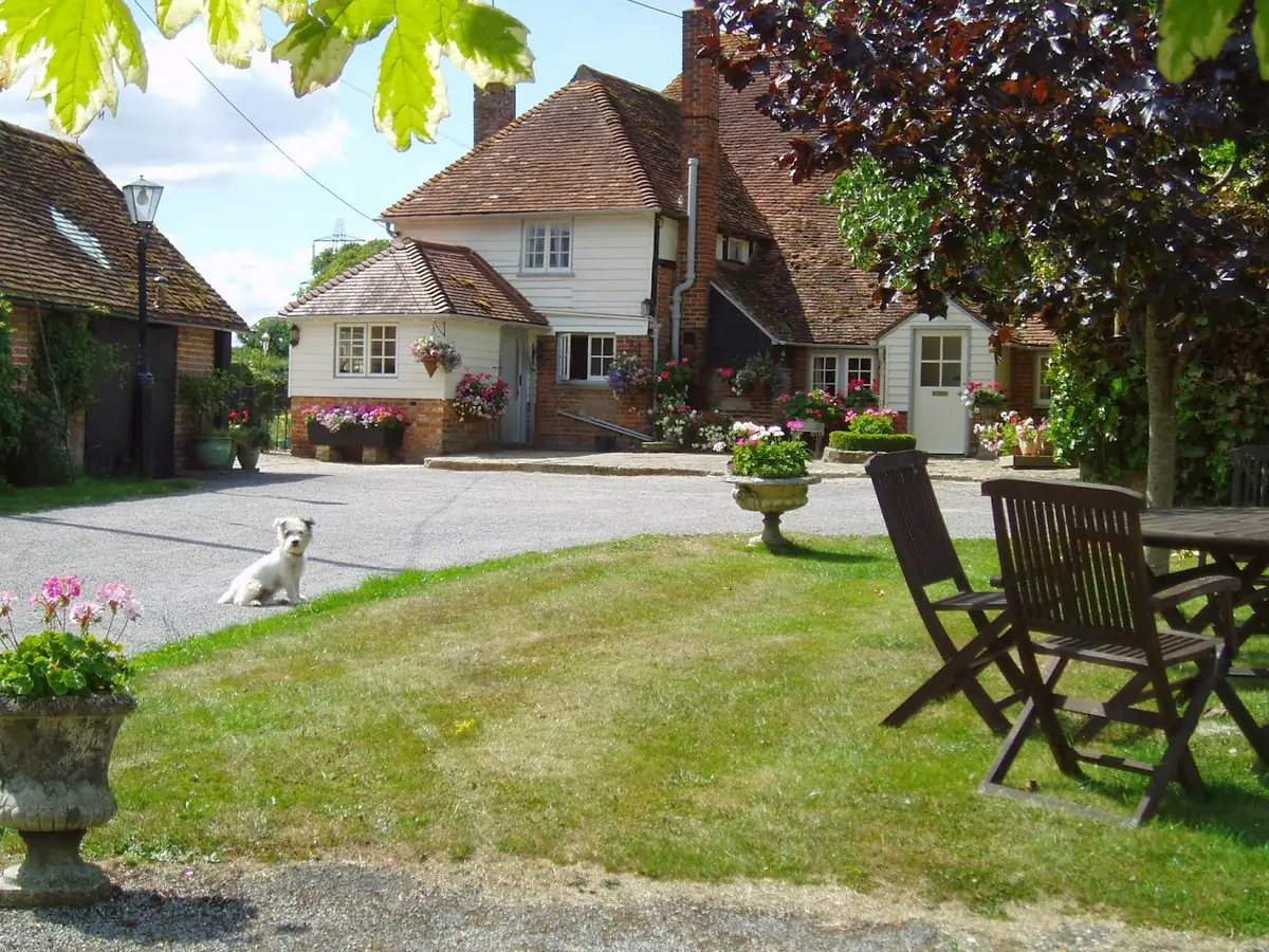 The Selsey Arms photo (photo 3 of 3)