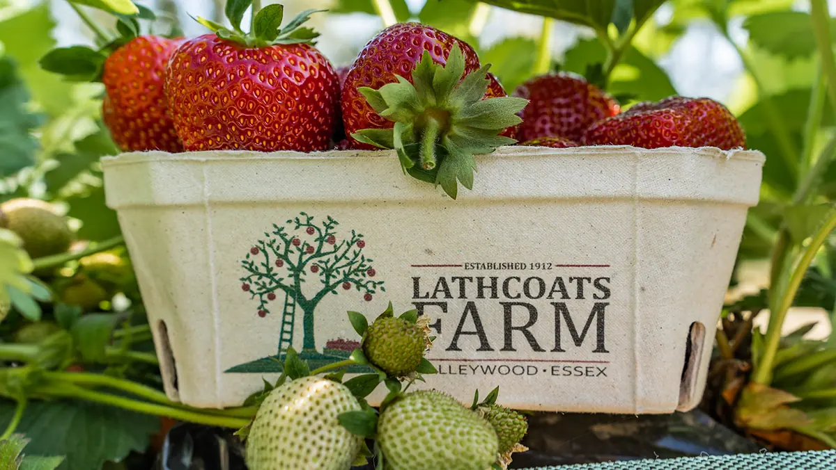 Lathcoats Farm photo (photo 2 of 3)