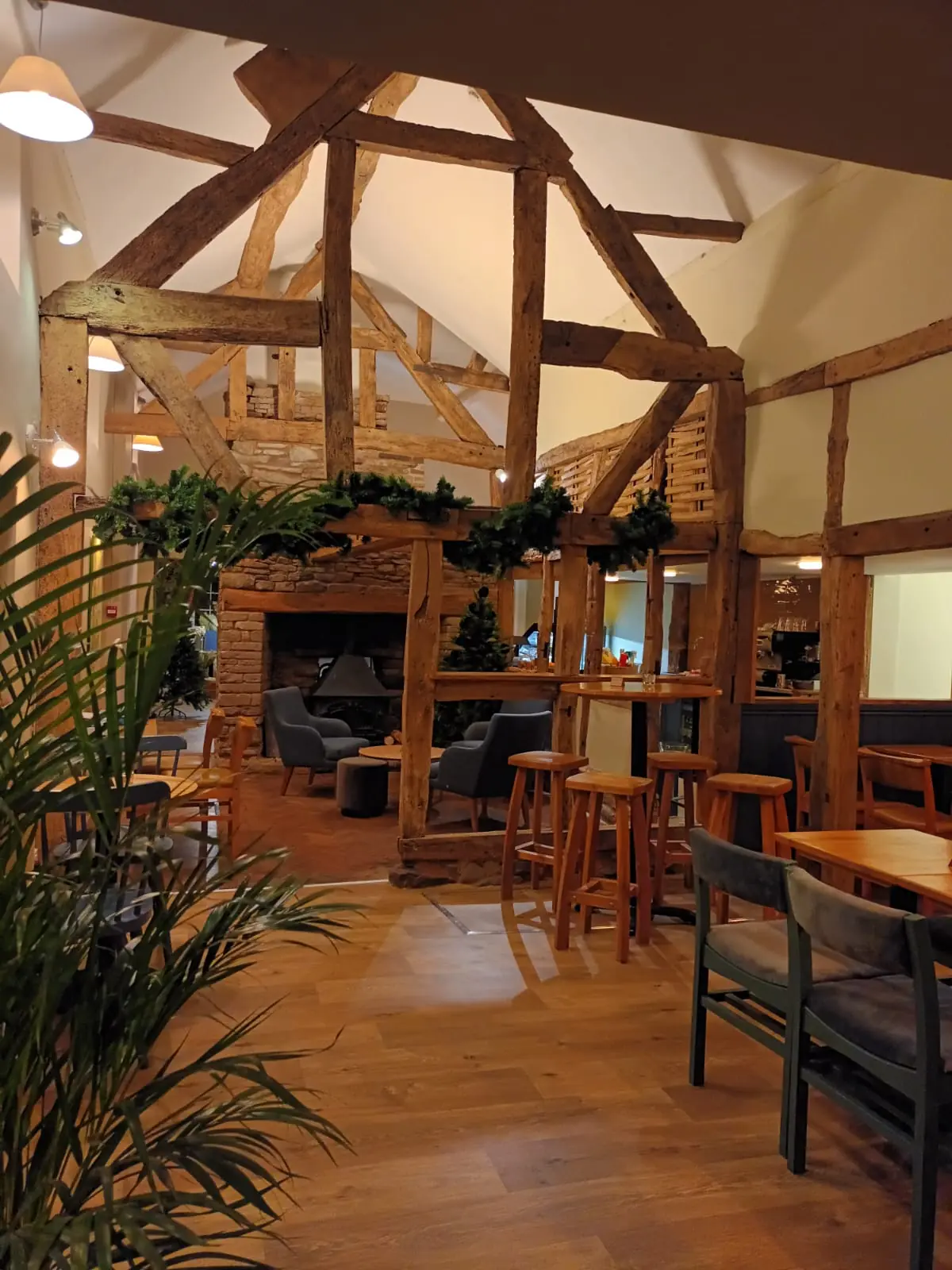 Timothy & Birch — Cafes in Nelson