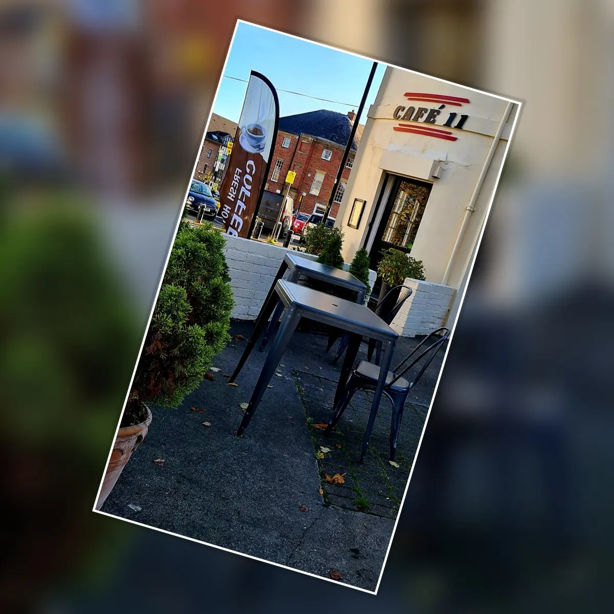 Café 11 photo (photo 3 of 3)