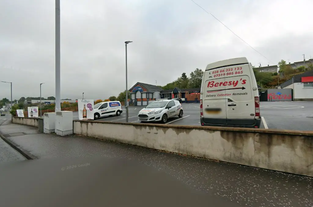 Hot Wok Chinese Takeaway and Delivery Service photo (photo 2 of 2)