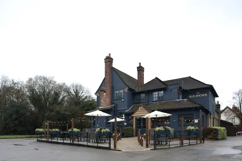 Blue Anchor Tadworth photo (photo 2 of 3)