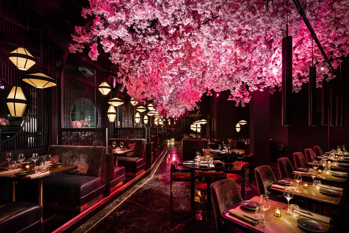 Nōshi Restaurants - Nottingham | Restaurant and Cocktail Bar