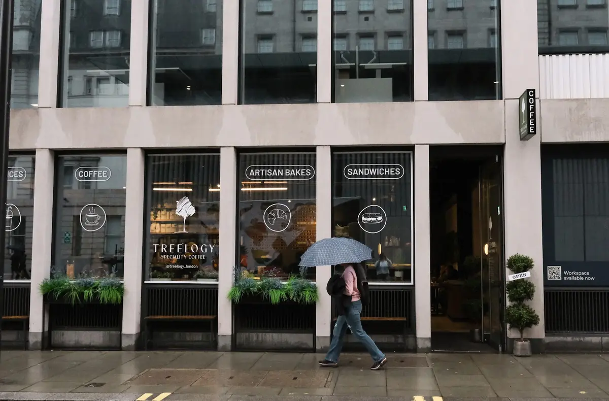 Treelogy Speciality Coffee Paddington — Coffee shops in London
