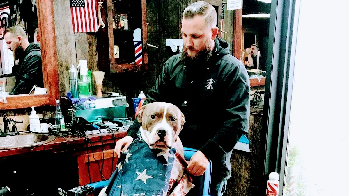 Shane's Barbershop — Barbershops in Muskegon