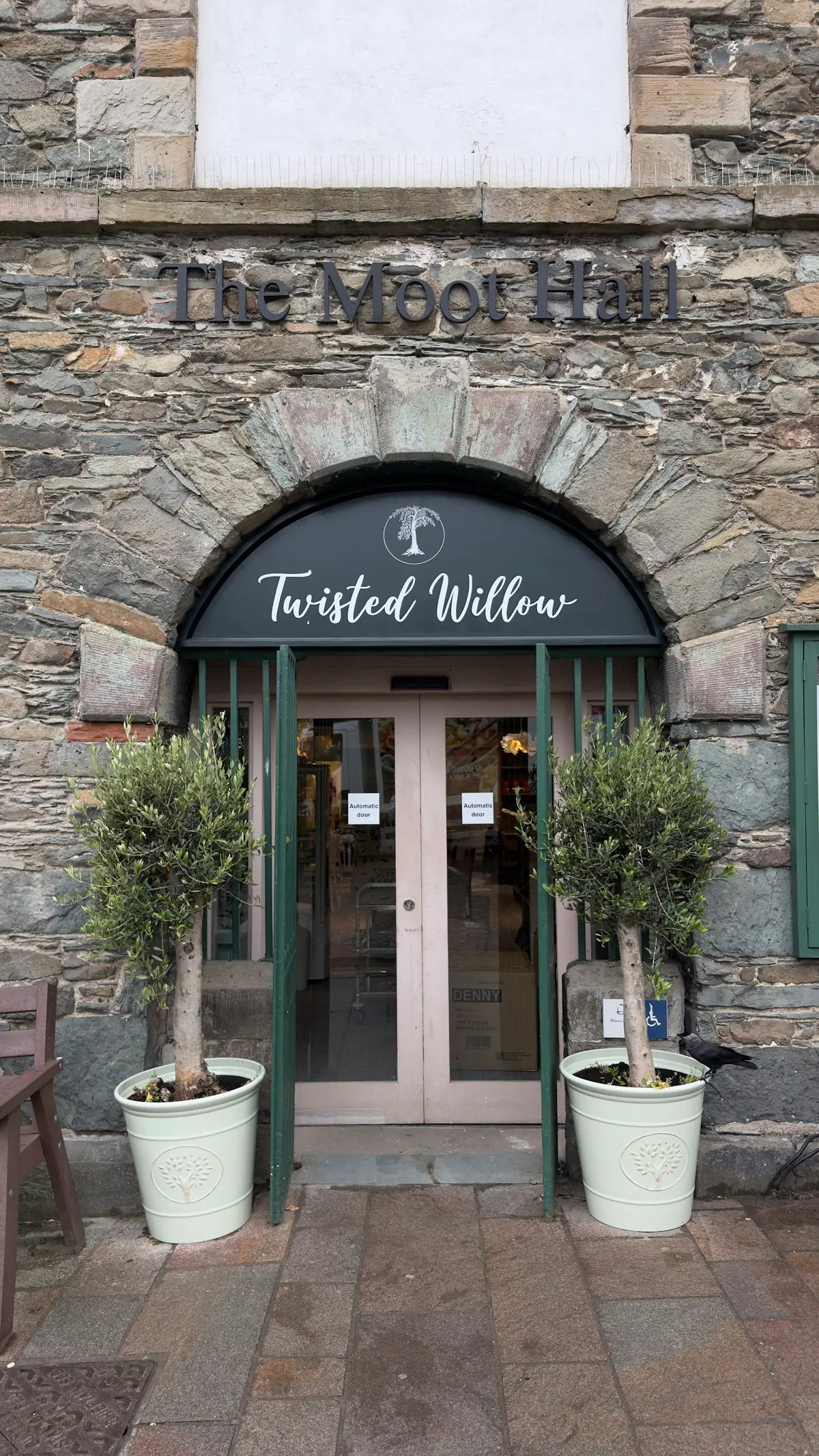 Twisted Willow