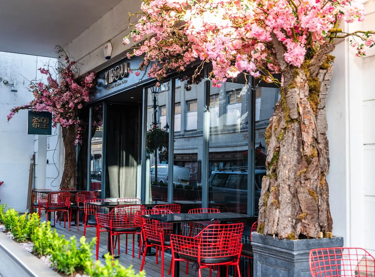 KIBOU Japanese Restaurant & Bar - Cheltenham — Japanese Restaurants in Cheltenham