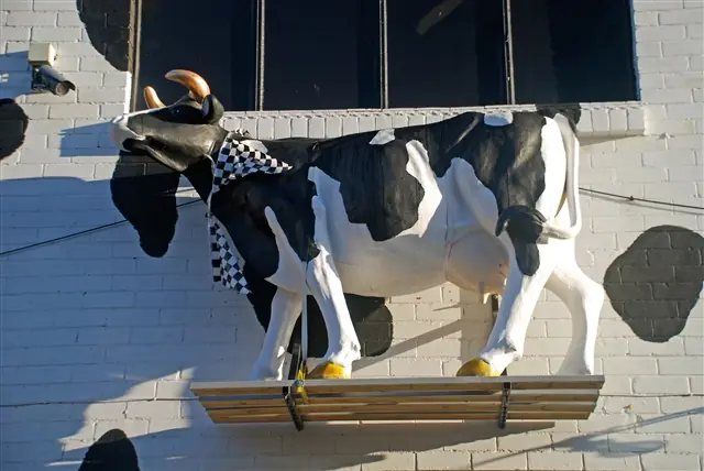 The Tipsy Cow photo (photo 3 of 3)