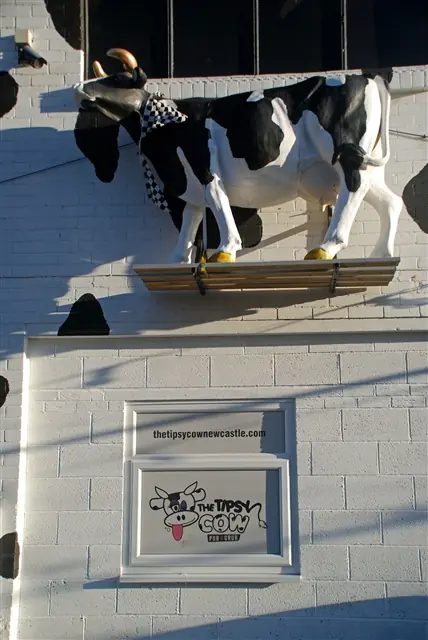 The Tipsy Cow photo (photo 1 of 3)