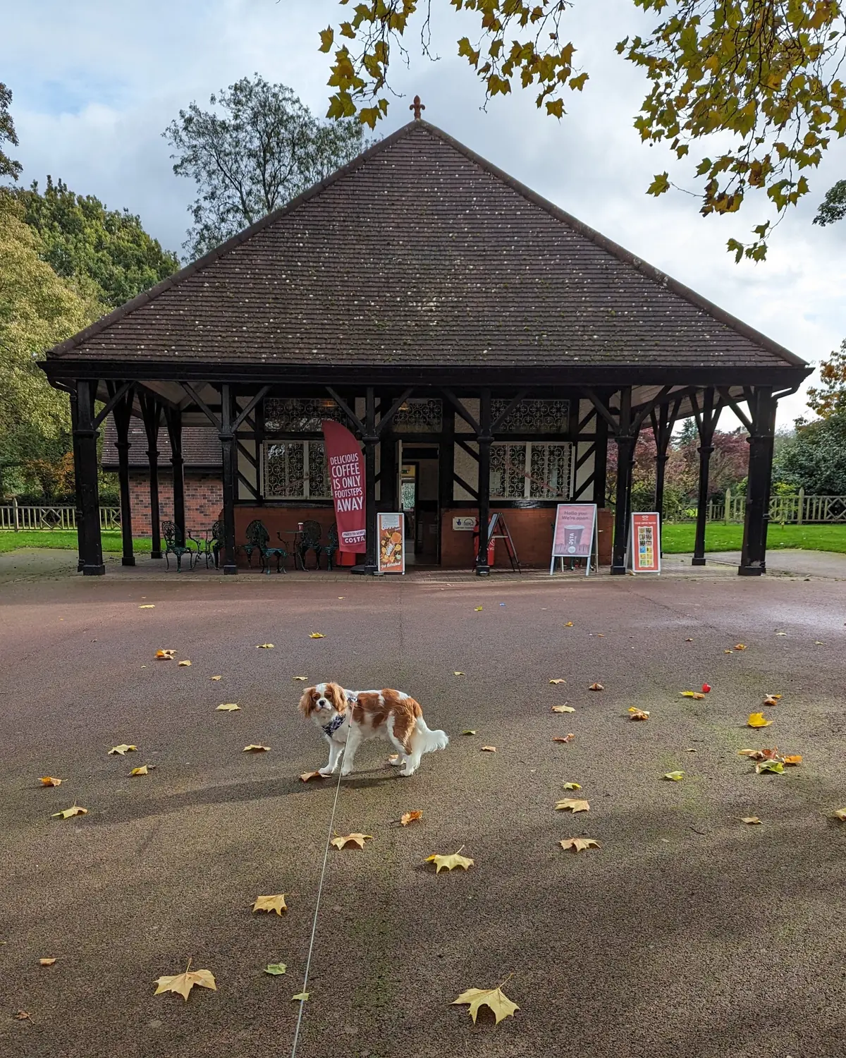 West Park Tea Rooms photo (photo 1 of 3)