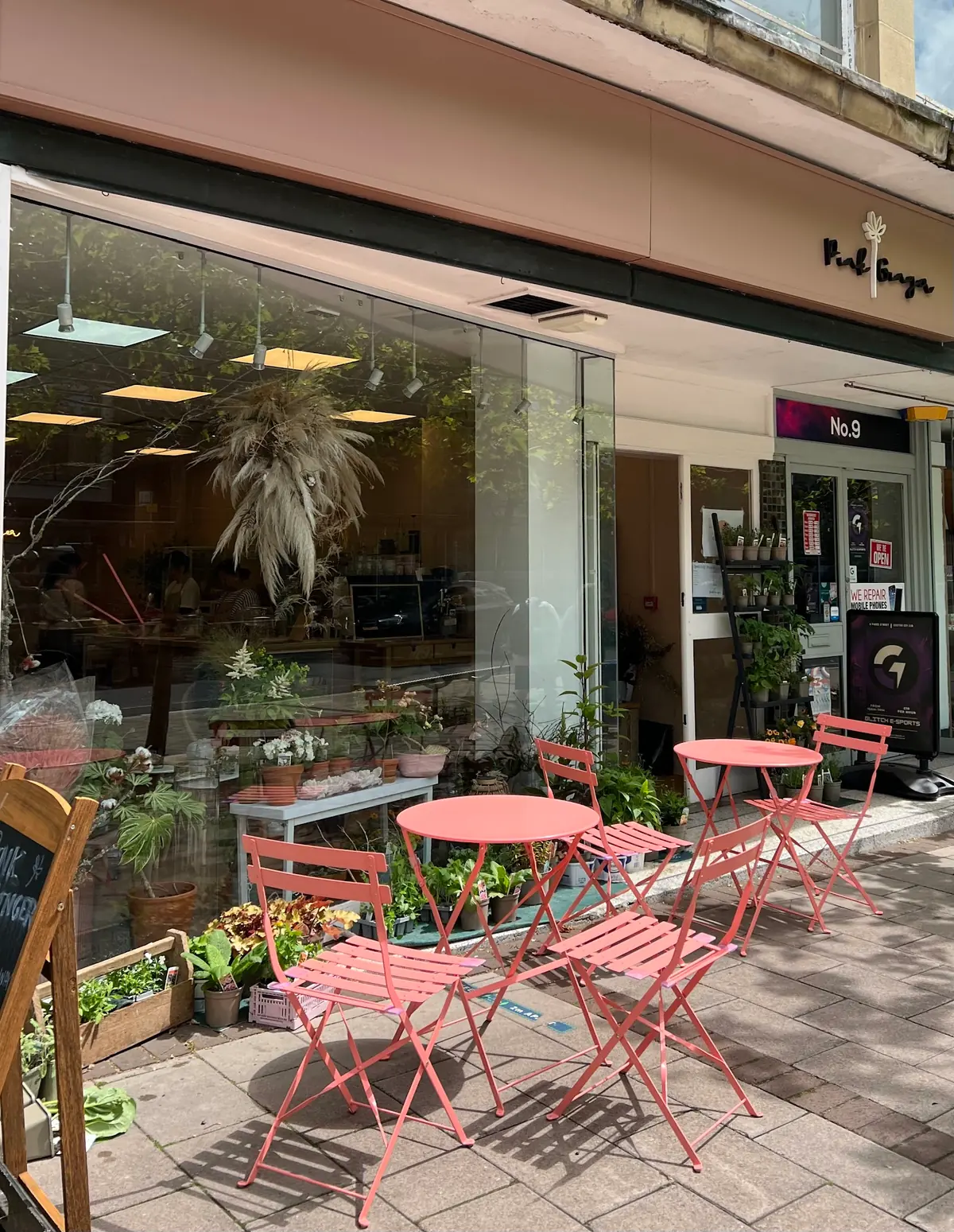 Pink Ginger Flower Cafe