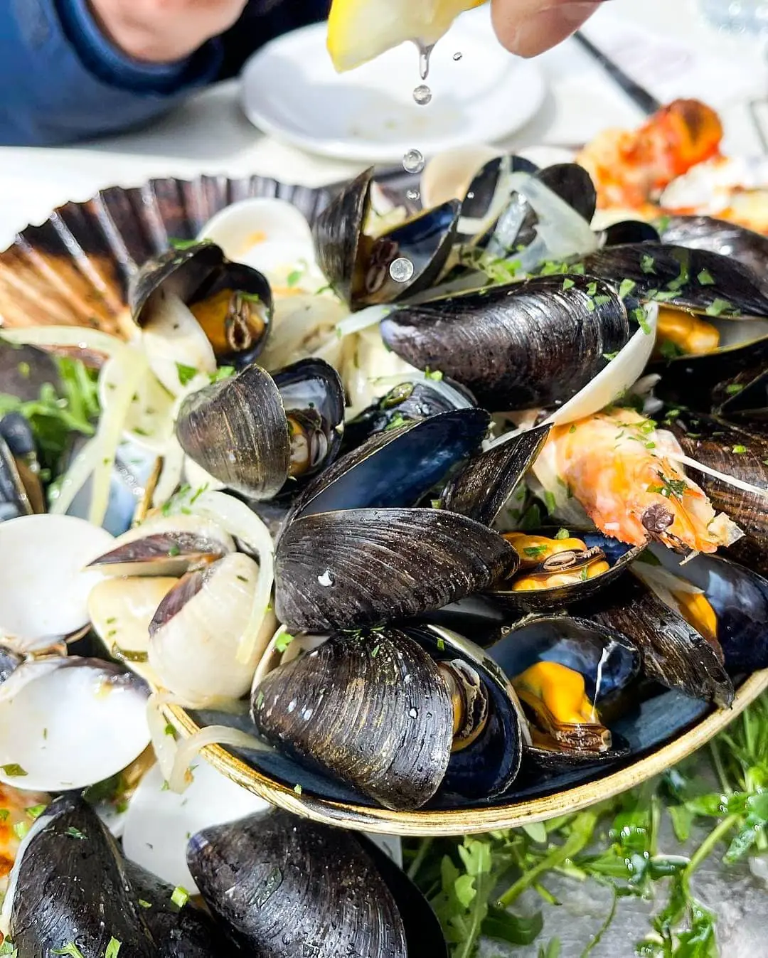 Regency Seafood Restaurant — Seafood restaurants in Brighton