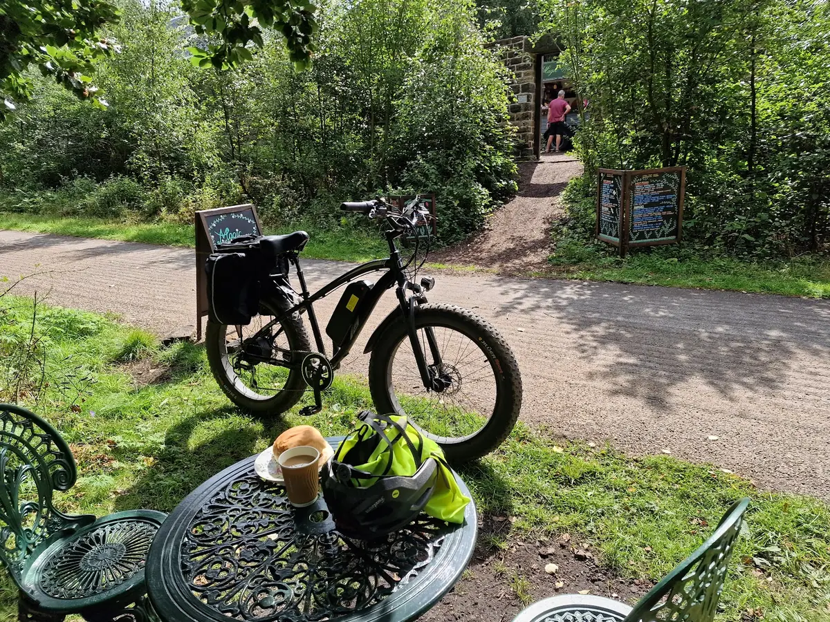 Magic Wood Café photo (photo 3 of 3)